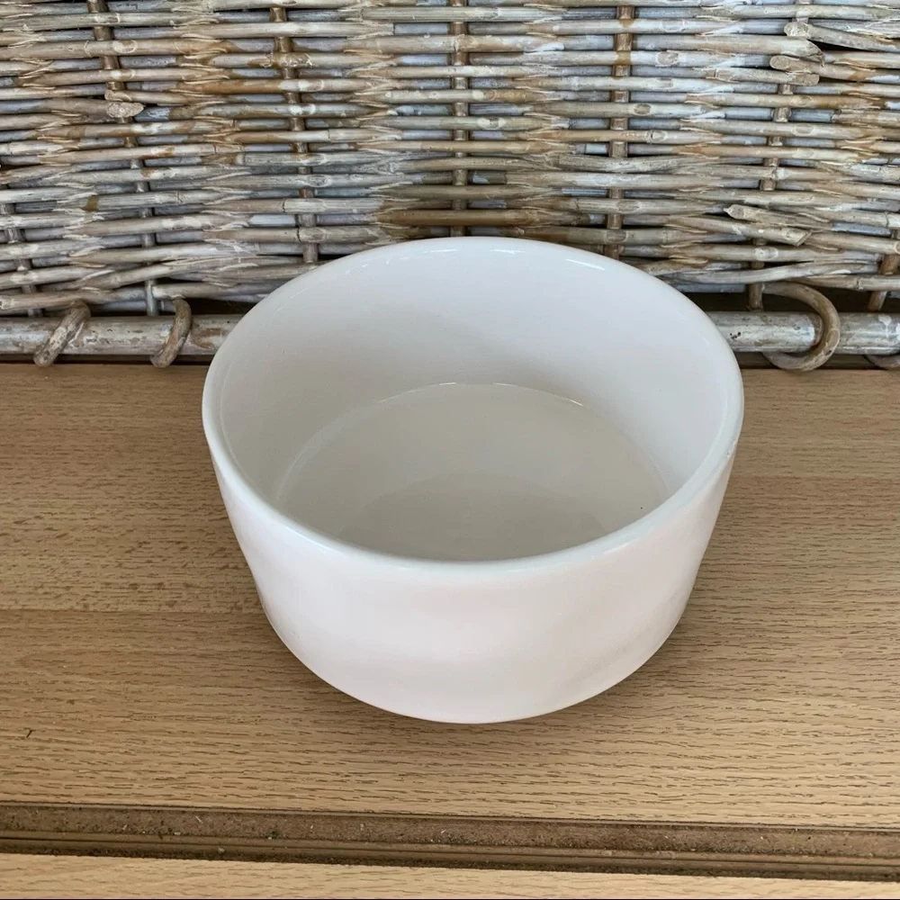 Rae Dunn Devour dog/cat eating bowl